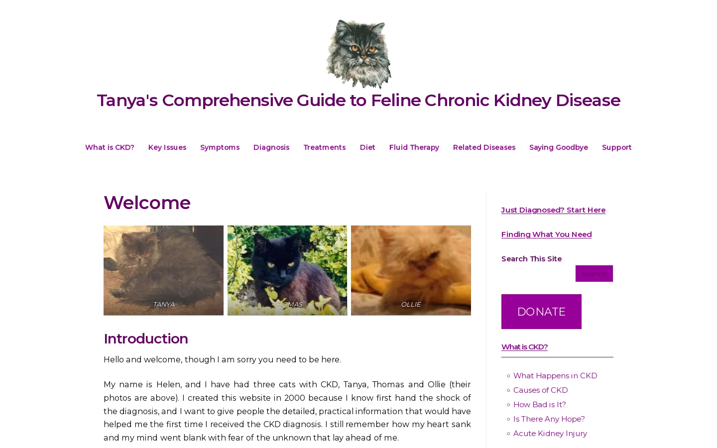 Tanya's Comprehensive Guide to Feline Chronic Kidney Disease – Everything You Need to Know to Help Your Cat Homepage screenshot