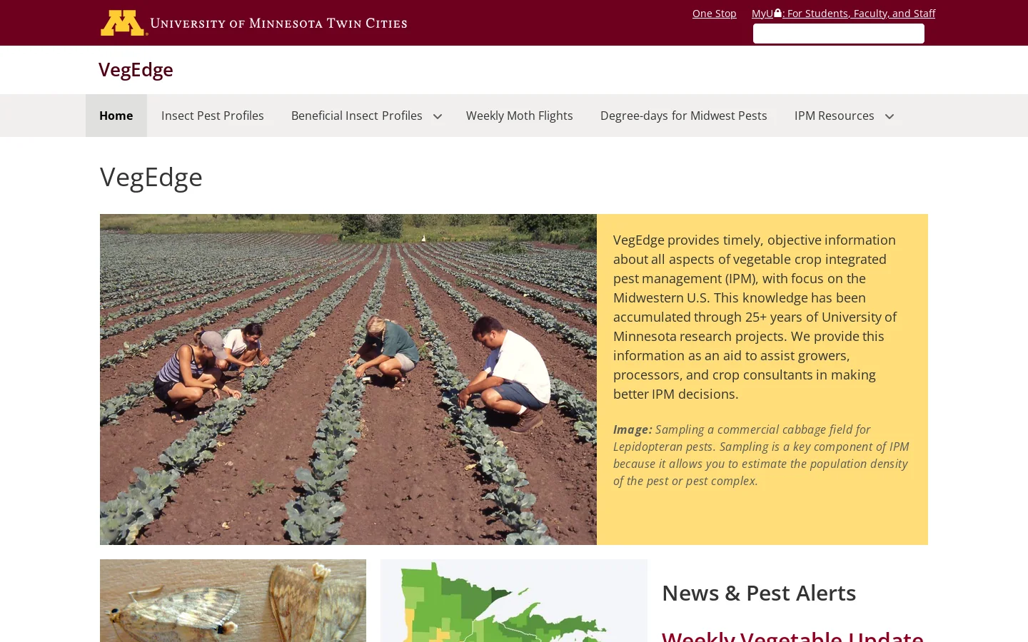 VegEdge Homepage screenshot