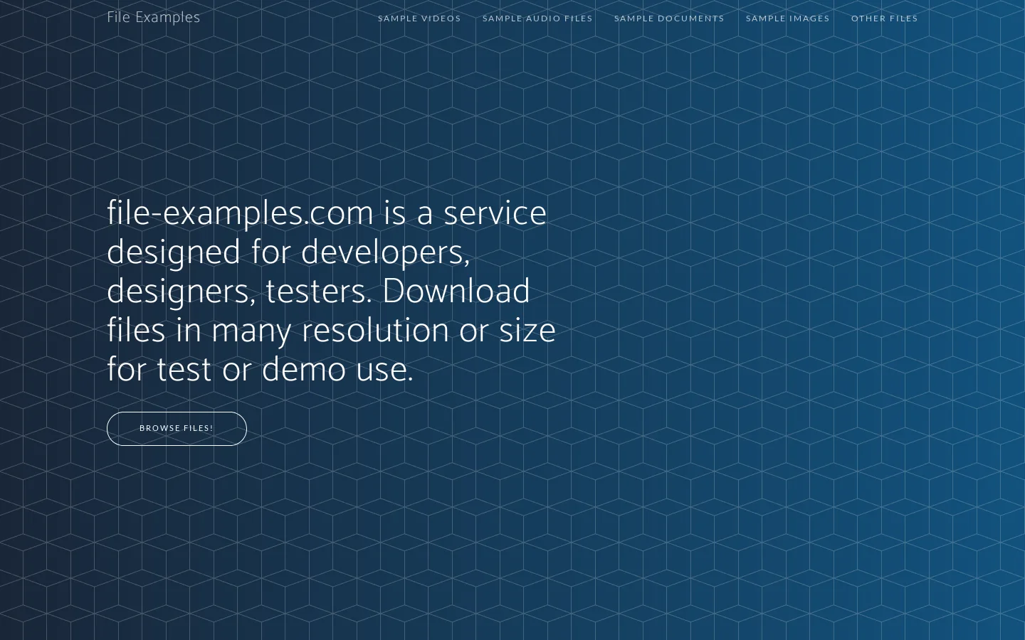 File Examples Download Homepage screenshot