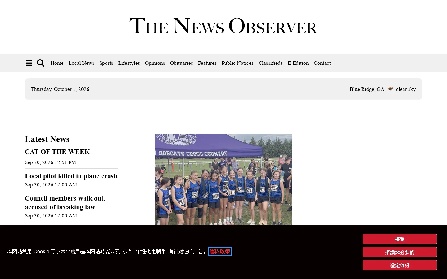 News Observer, Blue Ridge, Georgia Homepage screenshot