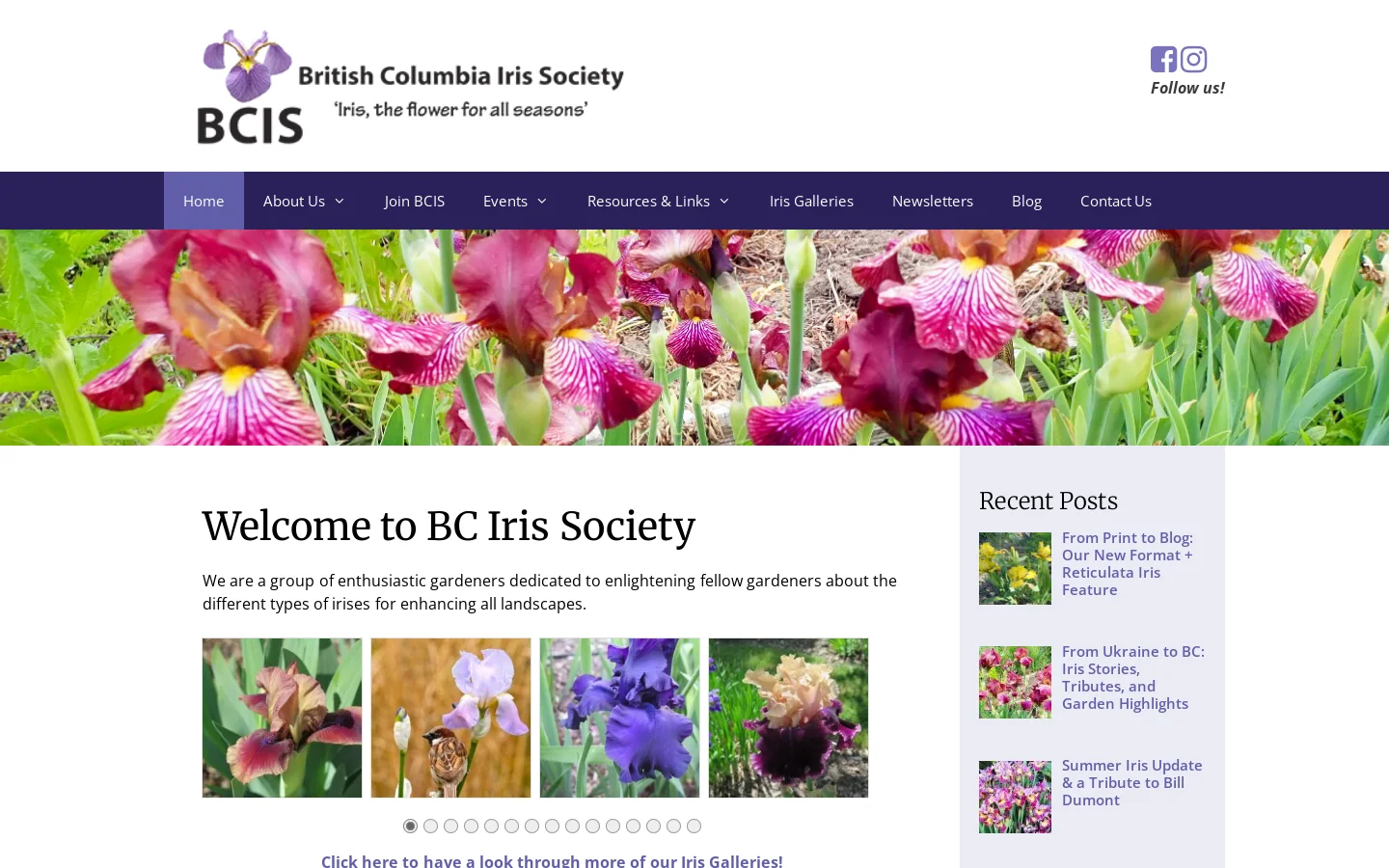 BC Iris Society Homepage screenshot