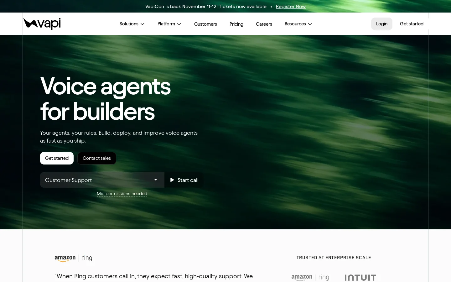 Vapi Homepage screenshot