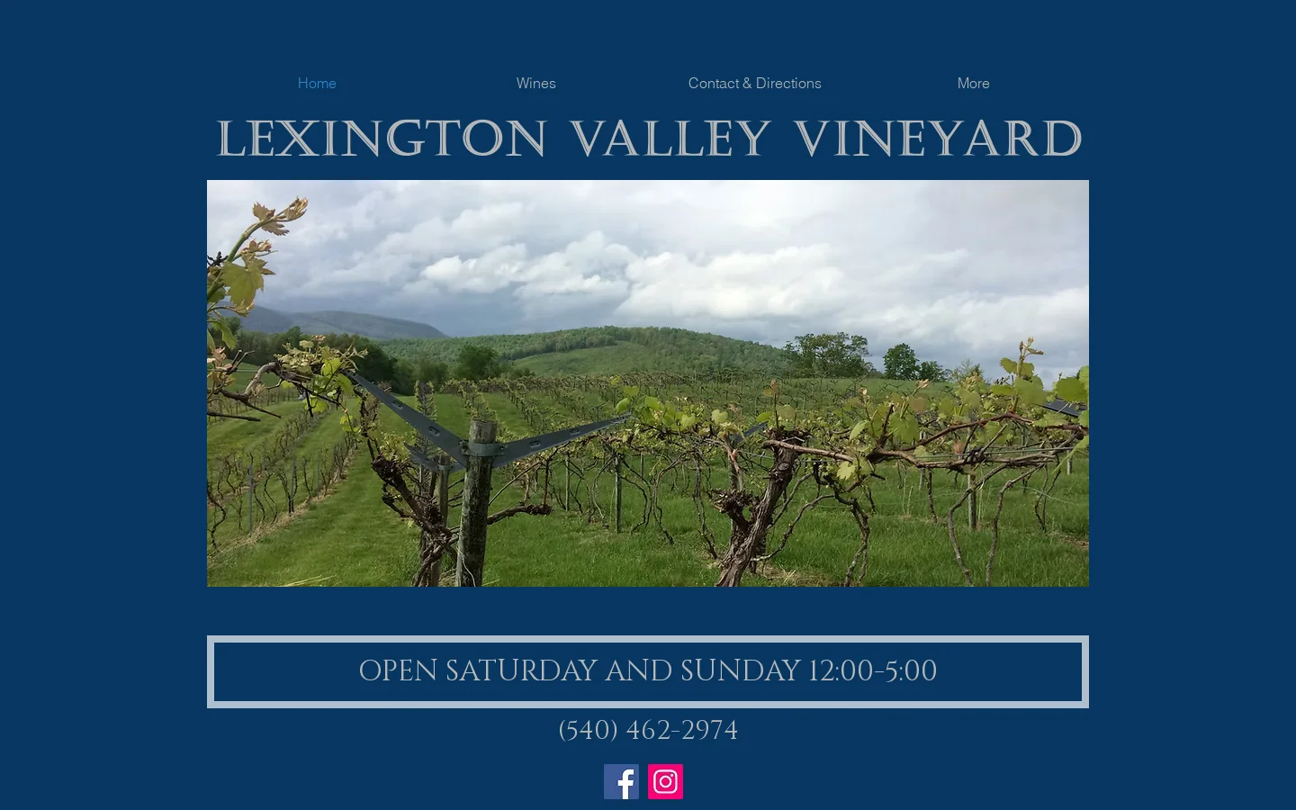 Lexington Valley Vineyard Homepage screenshot