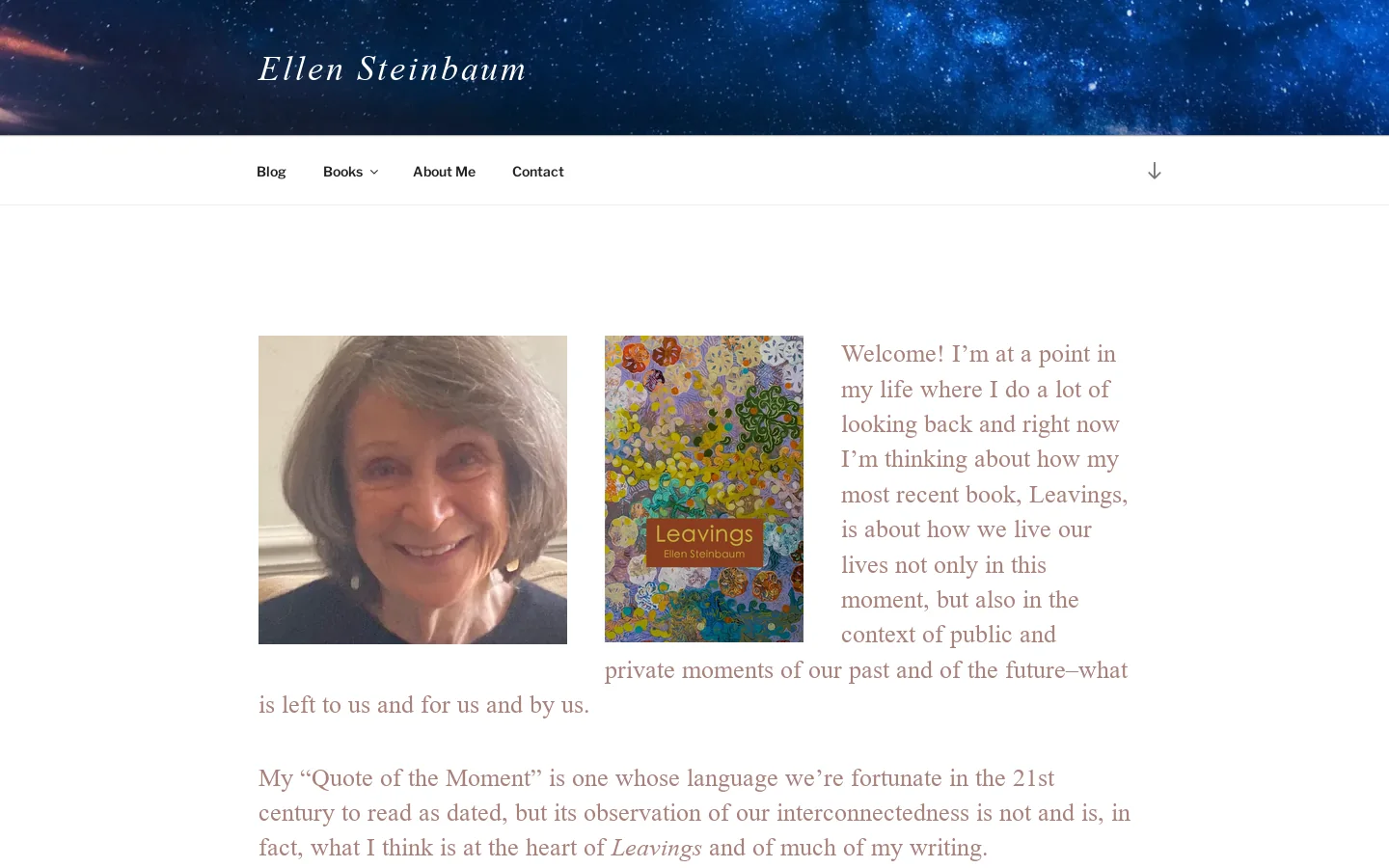 Ellen Steinbaum Homepage screenshot