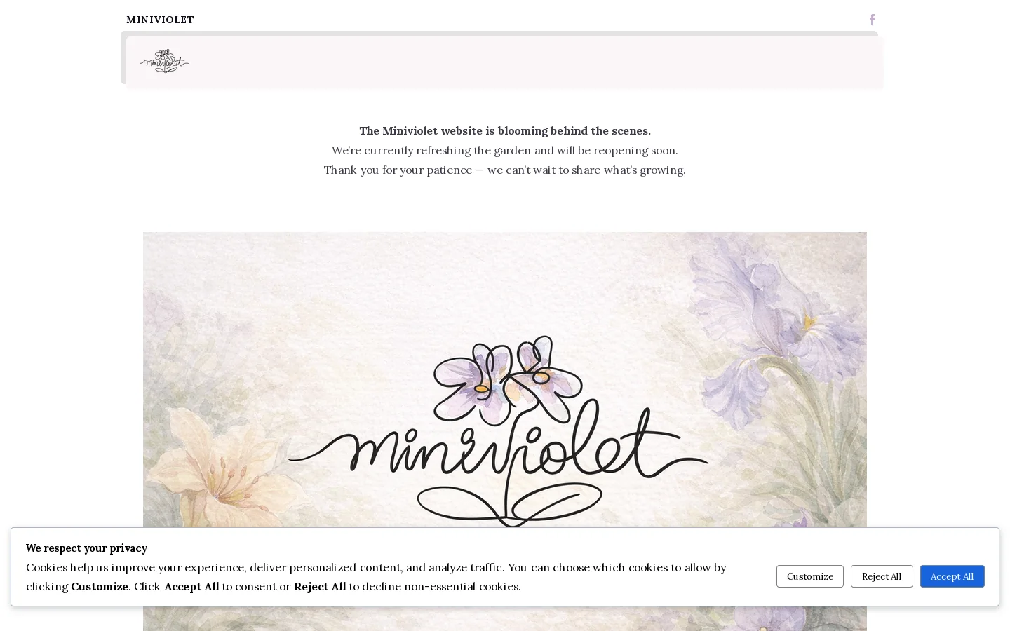 Miniviolet Homepage screenshot