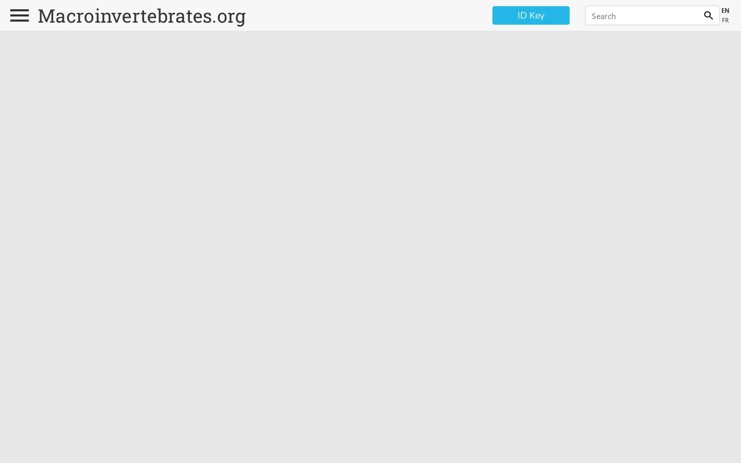 Macroinvertebrates.org Homepage screenshot