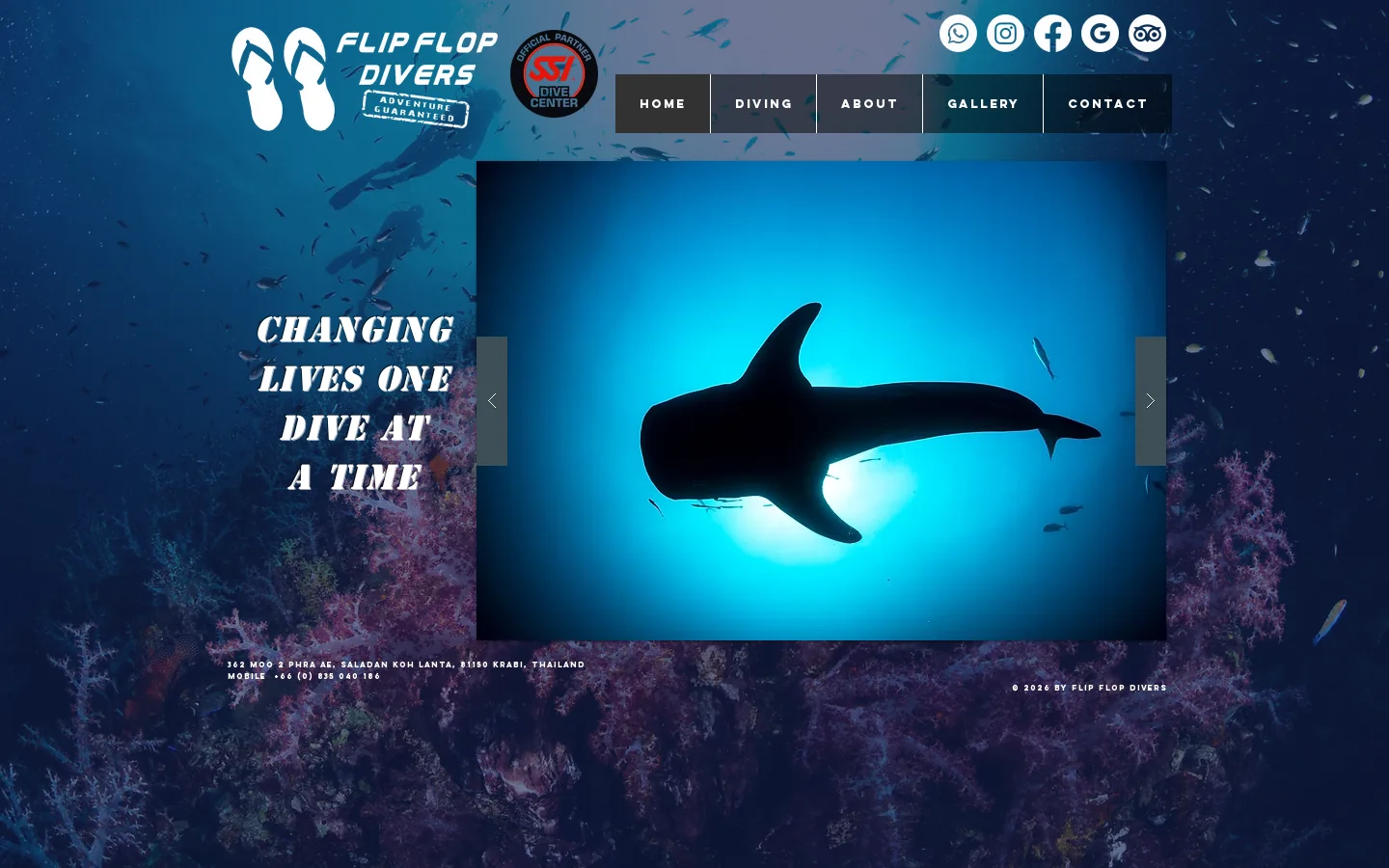 Flip Flop Divers Homepage screenshot