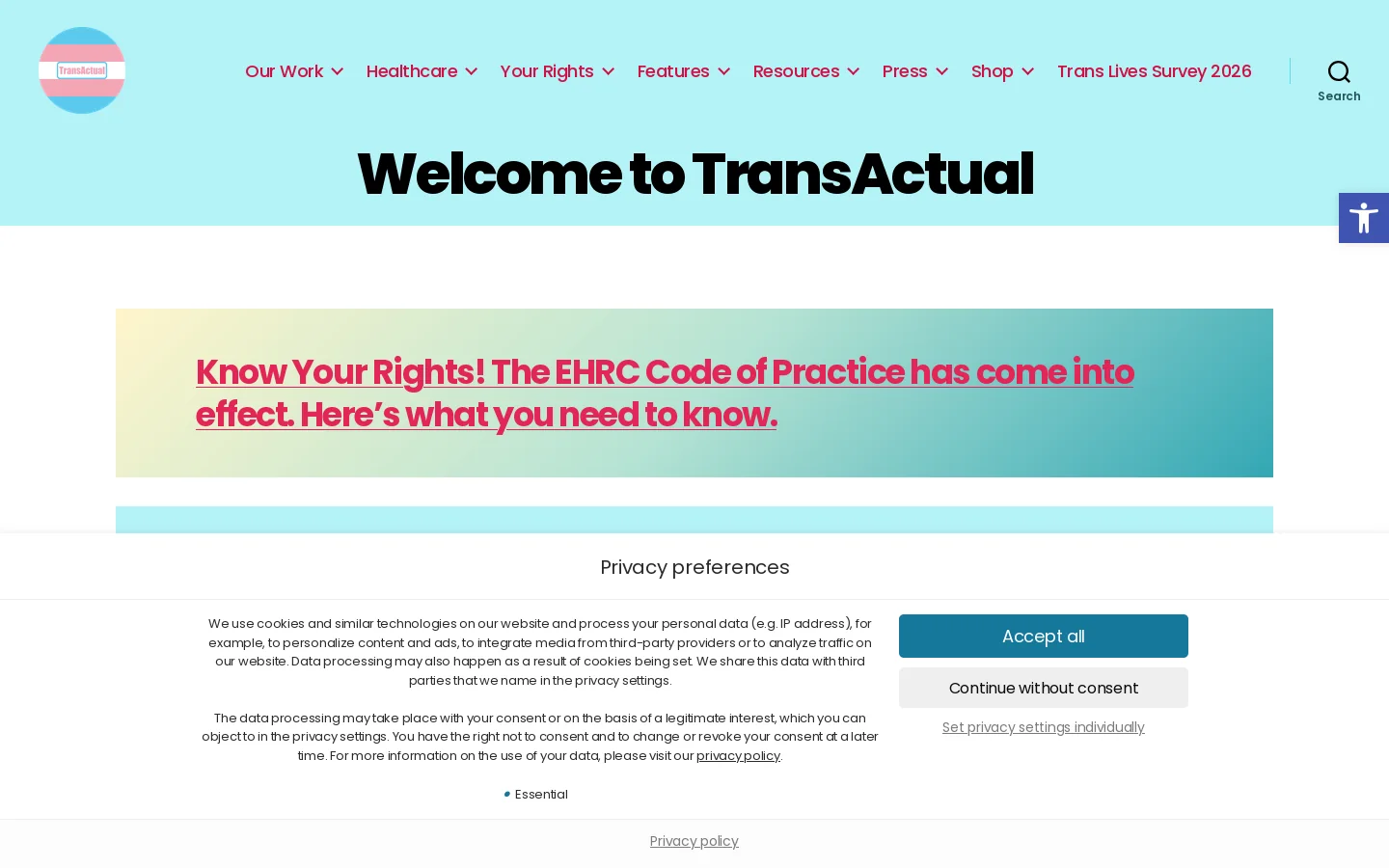 TransActual Homepage screenshot