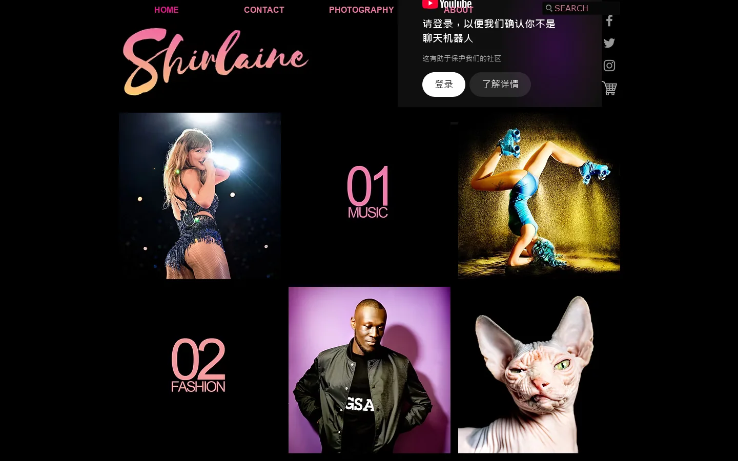 Shirlaine.co.uk Homepage screenshot