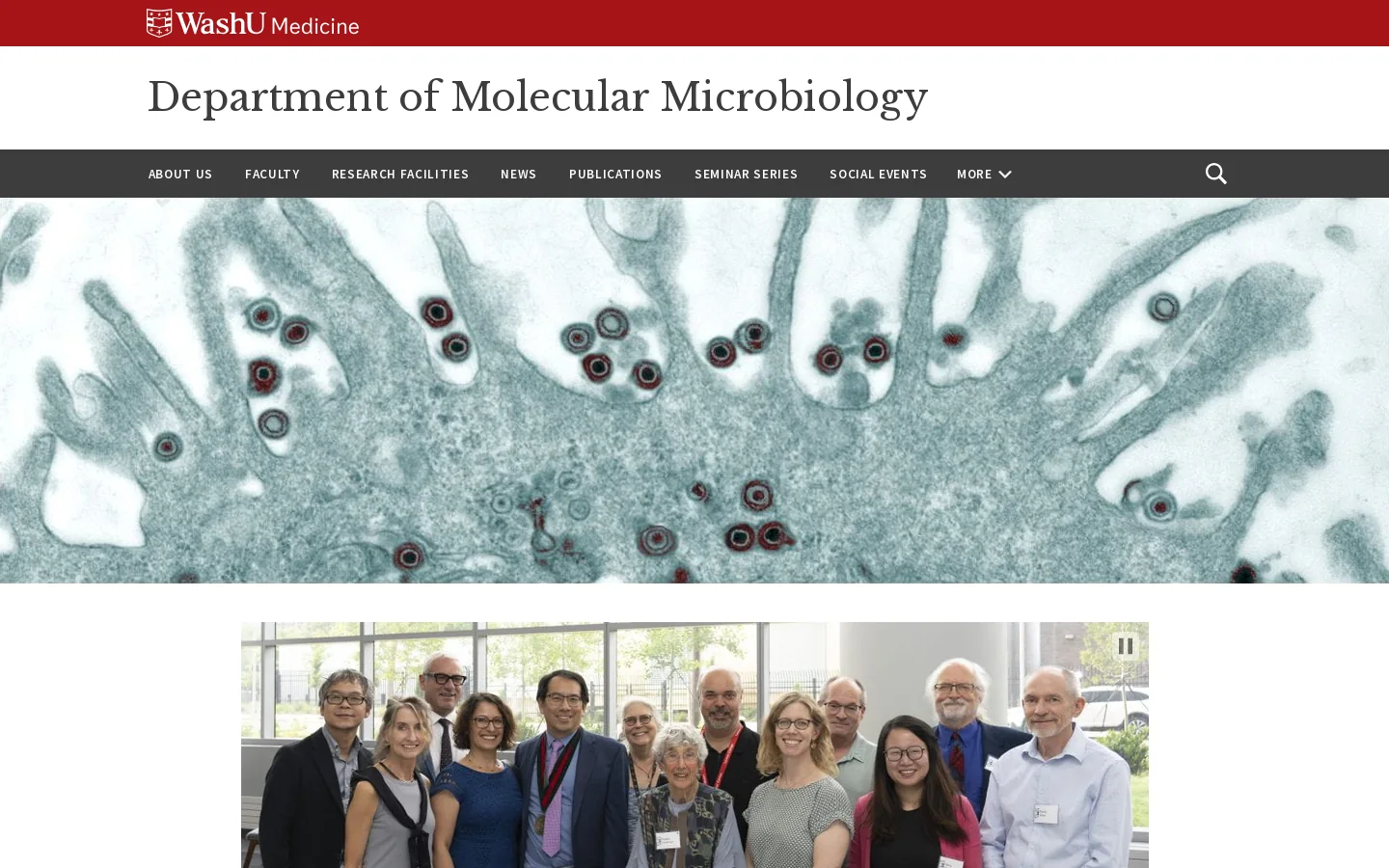 | Department of Molecular Microbiology | Washington University in St. Louis Homepage screenshot