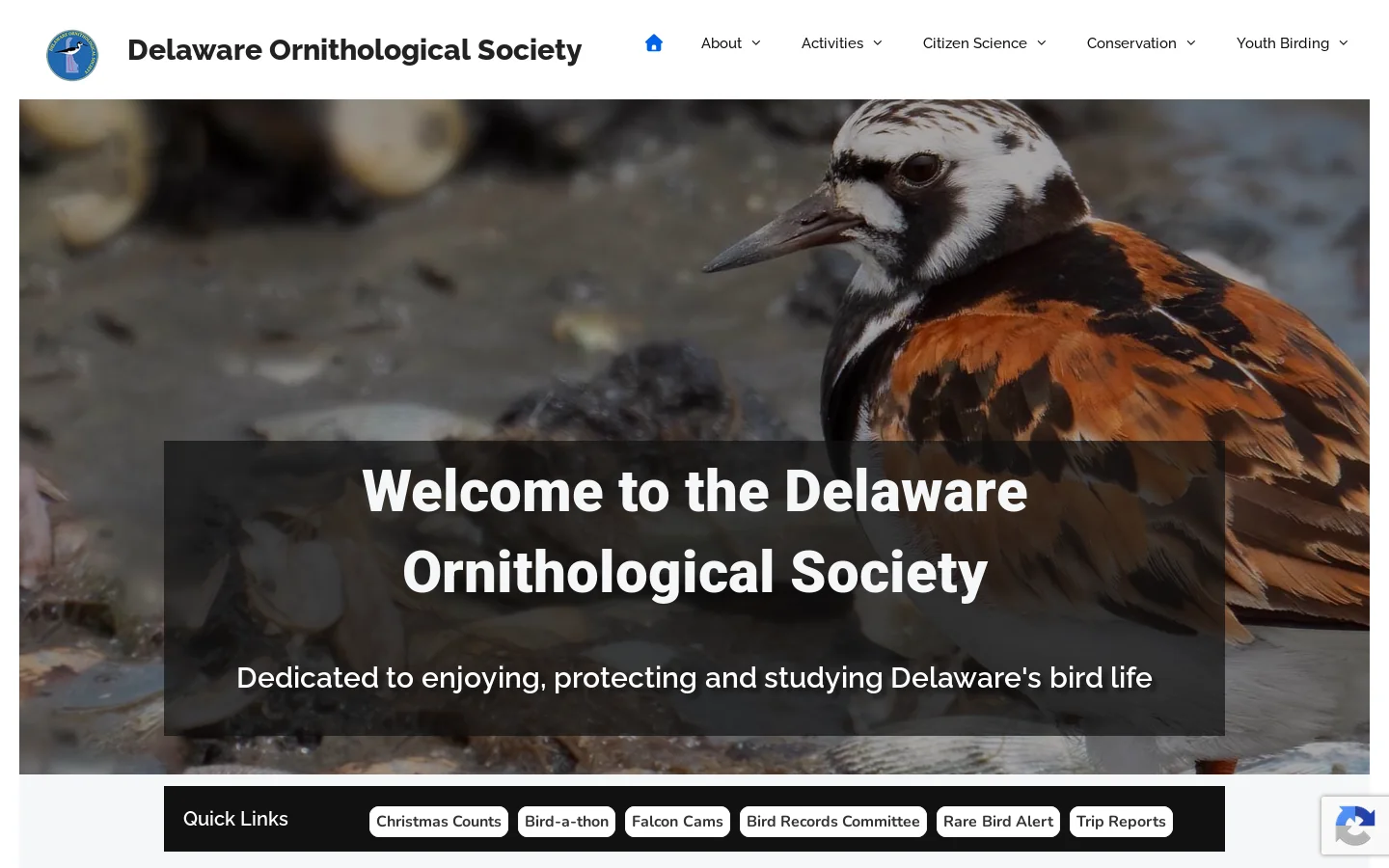Home - Delaware Ornithological Society Homepage screenshot