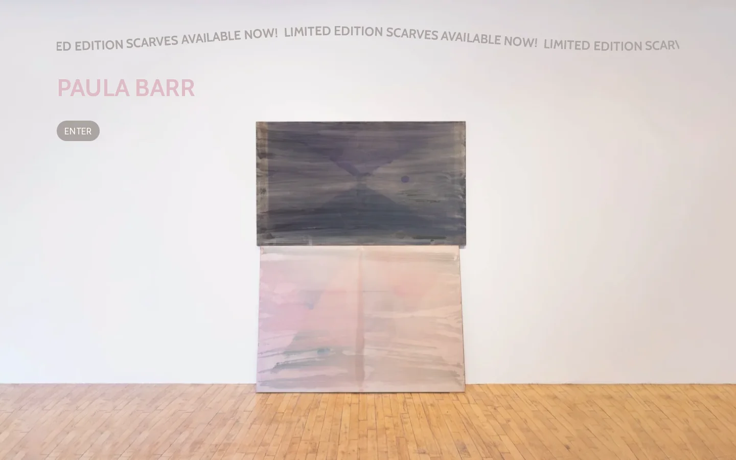 PAULA BARR Homepage screenshot