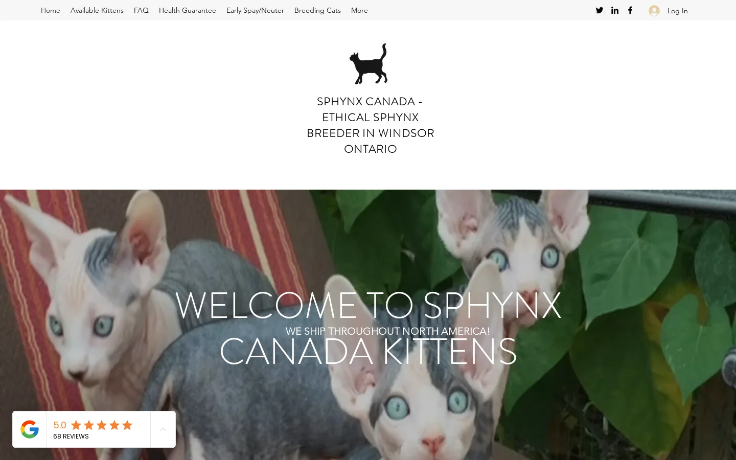 Sphynx Canada Kittens Homepage screenshot