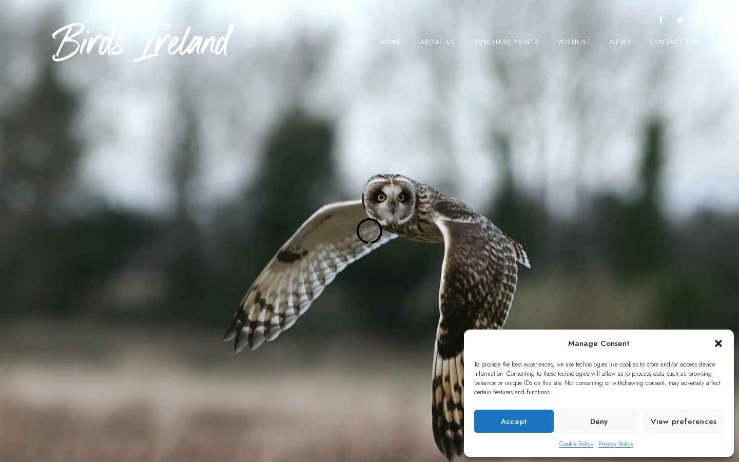 Birds Ireland Photography Homepage screenshot