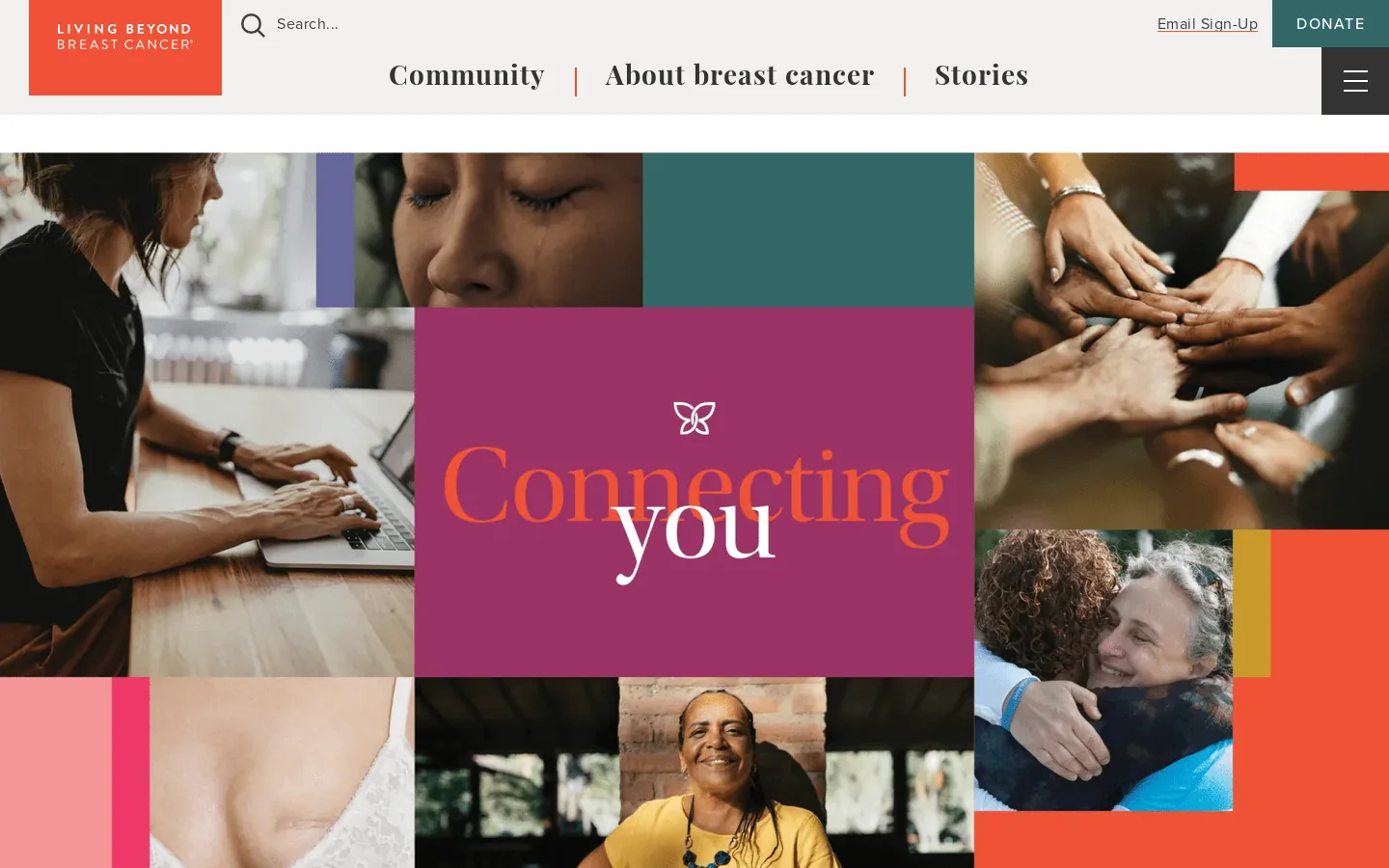 LBBC Homepage screenshot