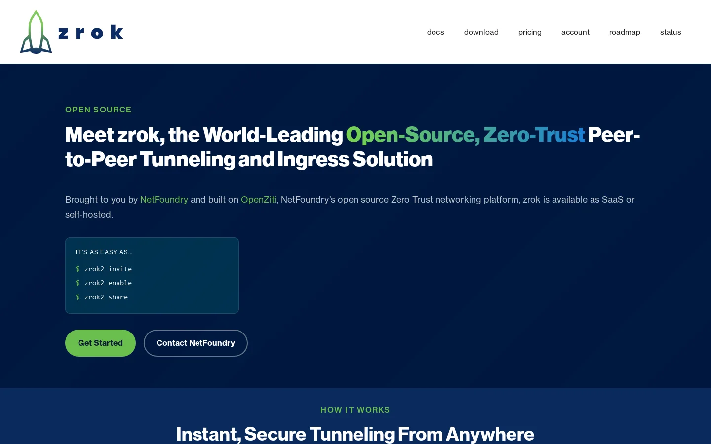 zrok by NetFoundry Homepage screenshot