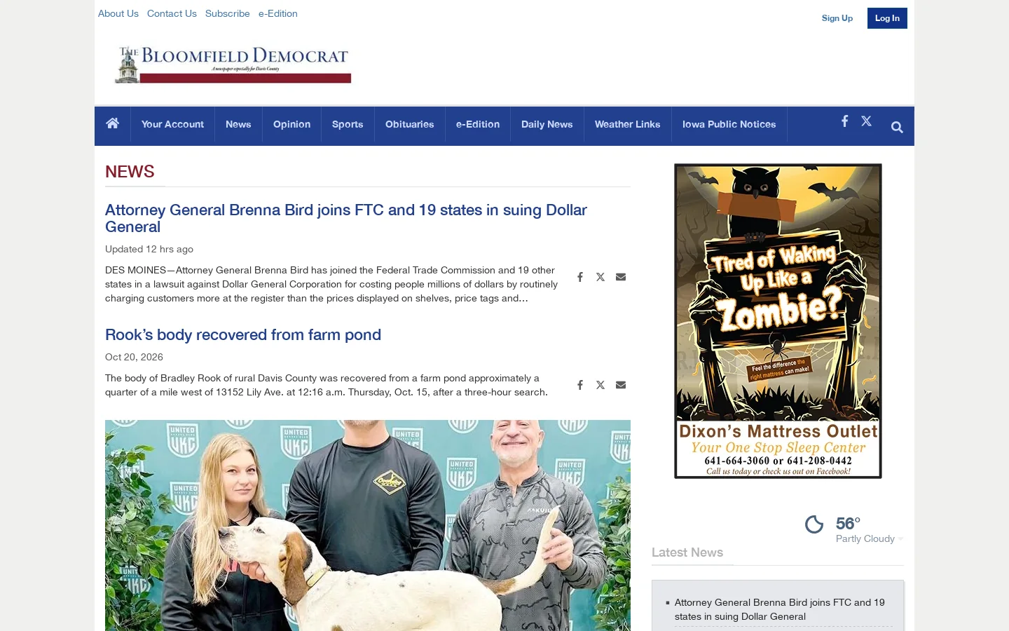 bdemo.com Homepage screenshot