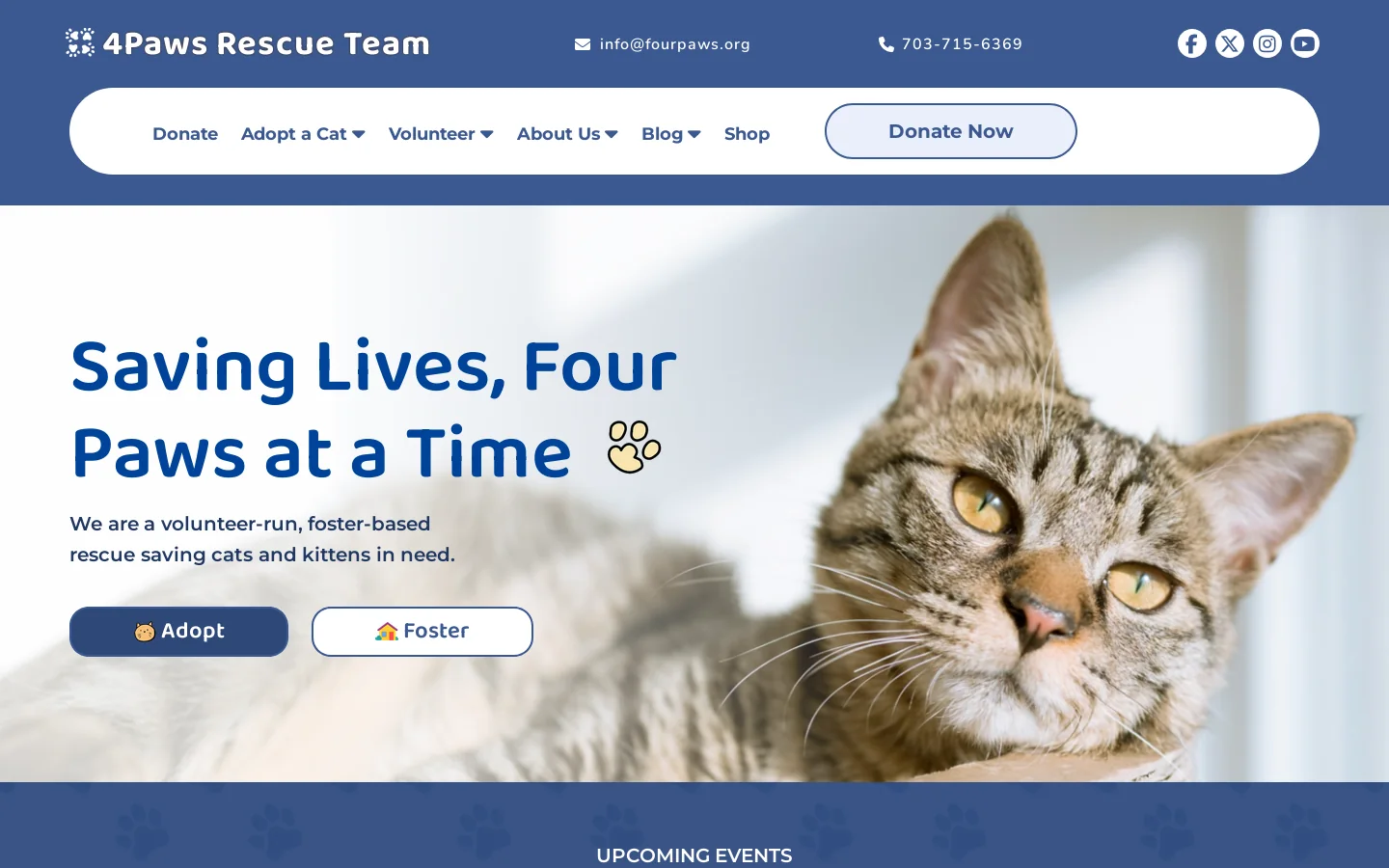 4Paws Rescue Team | Cat Rescue Northern Virginia Homepage screenshot