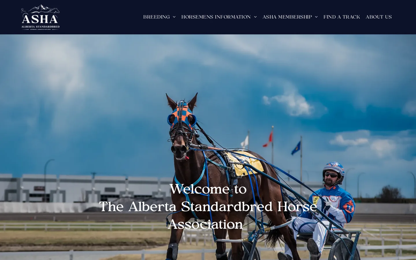 HOME Homepage screenshot