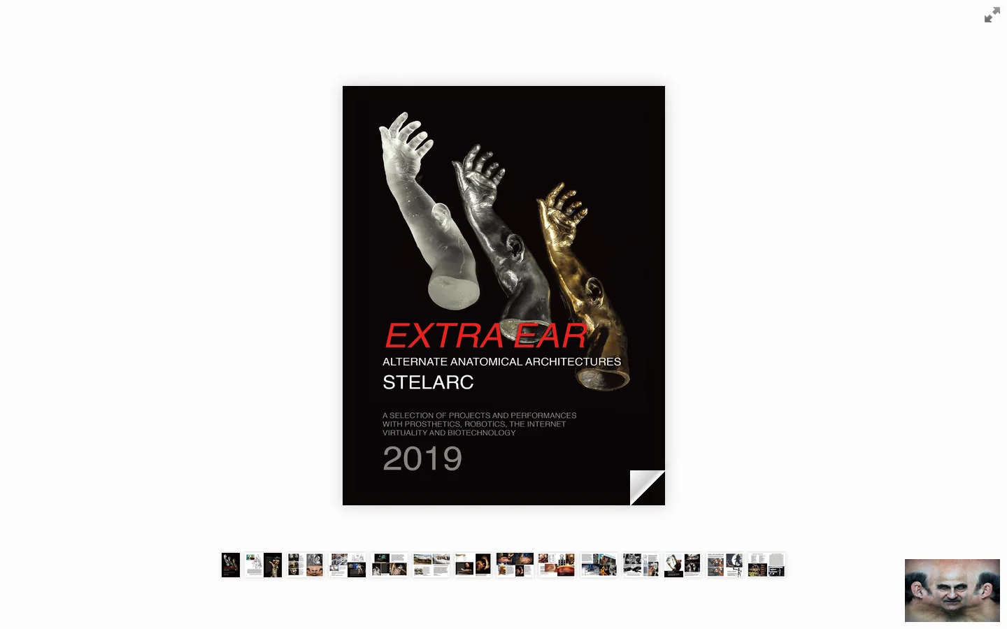STELARC Homepage screenshot
