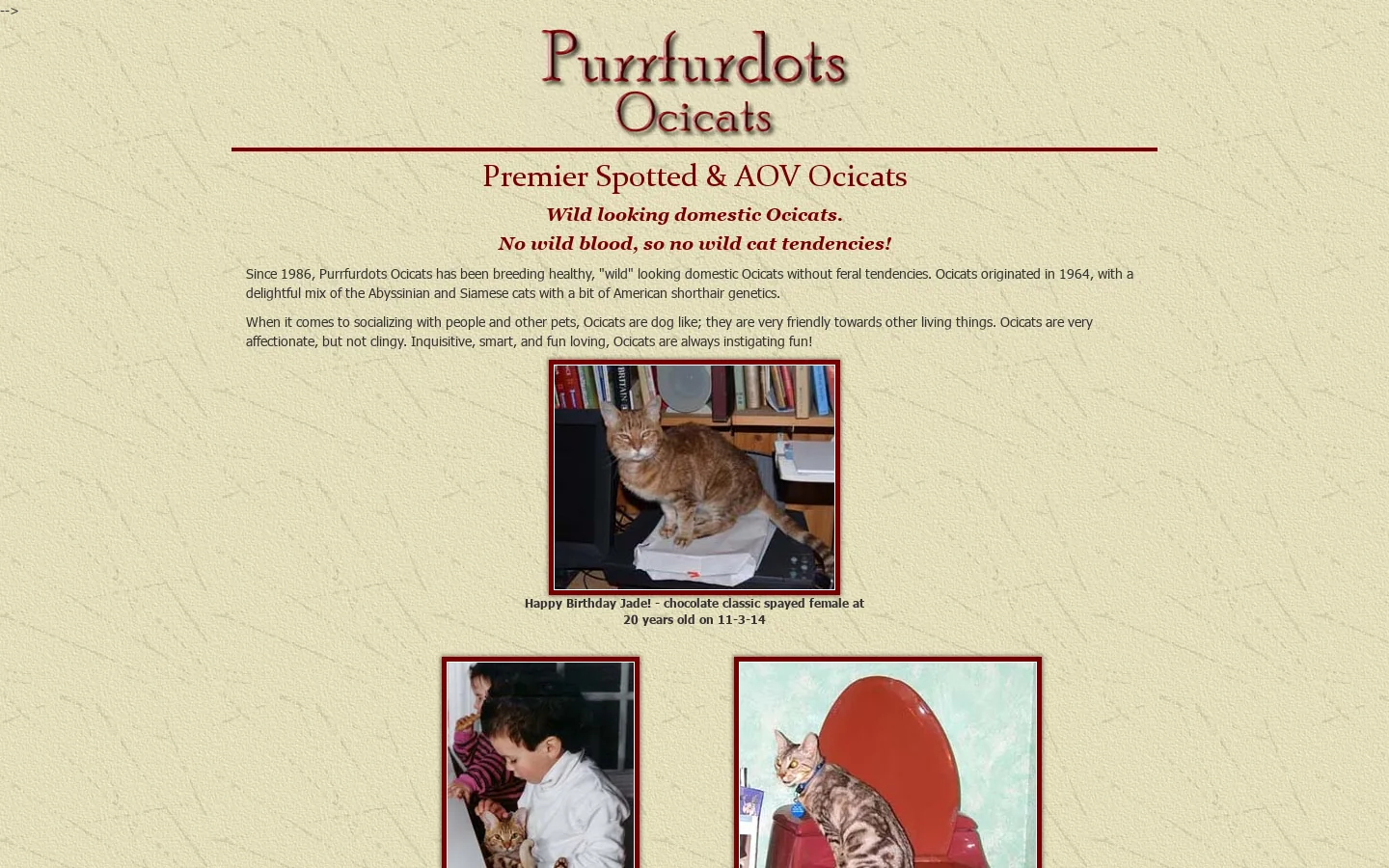 Purrfurdots Ocicats Homepage screenshot