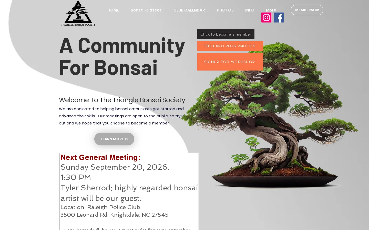 Triangle Bonsai Society Homepage screenshot