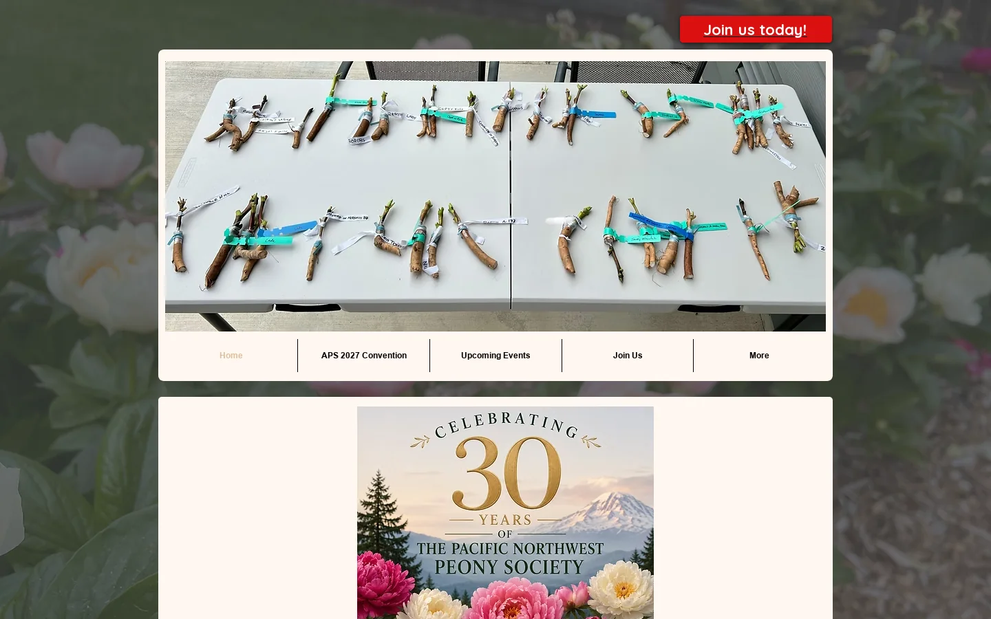 Peonies | Pacific Northwest Peony Society Homepage screenshot