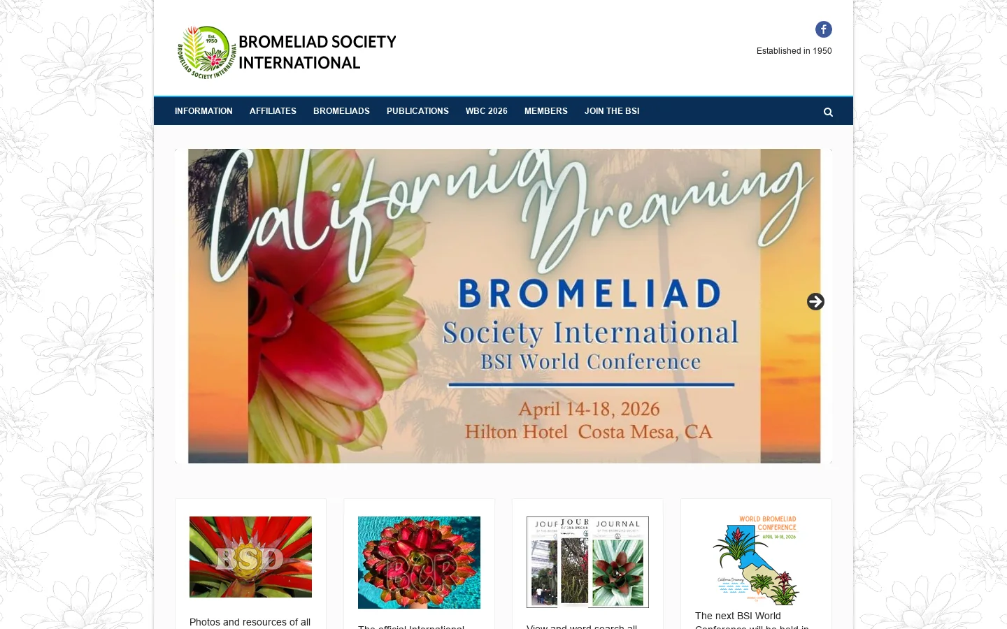 BSI Homepage screenshot