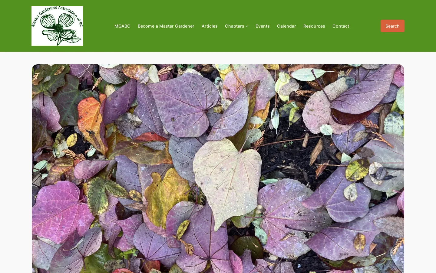 MGABC Homepage screenshot