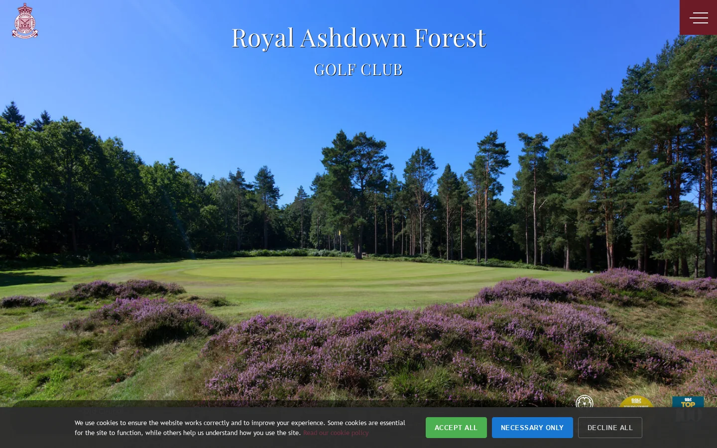 Home Homepage screenshot
