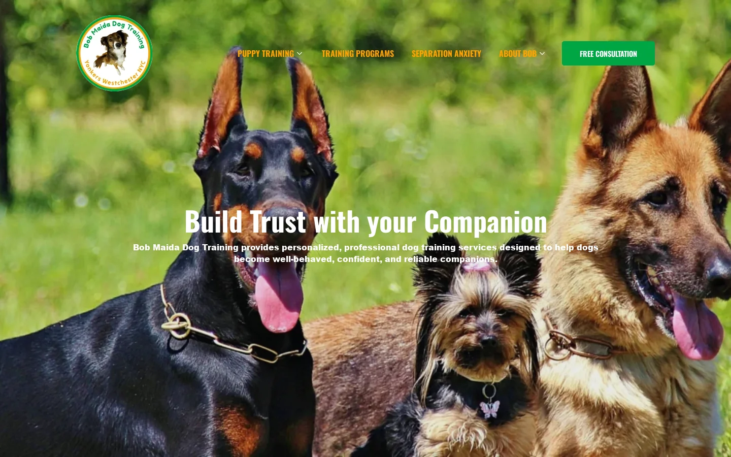 Westchester Dog Trainer – Bob Maida Dog Training Homepage screenshot