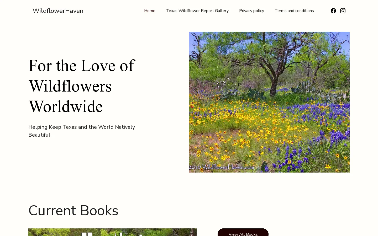 Home Homepage screenshot