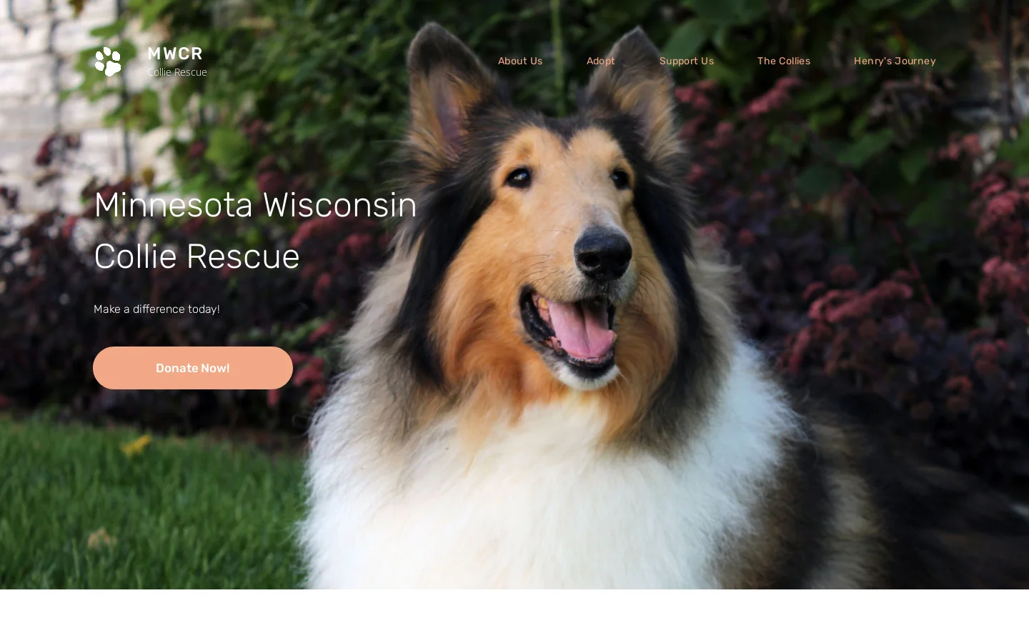 Home page - Minnesota Wisconsin Collie Rescue Homepage screenshot