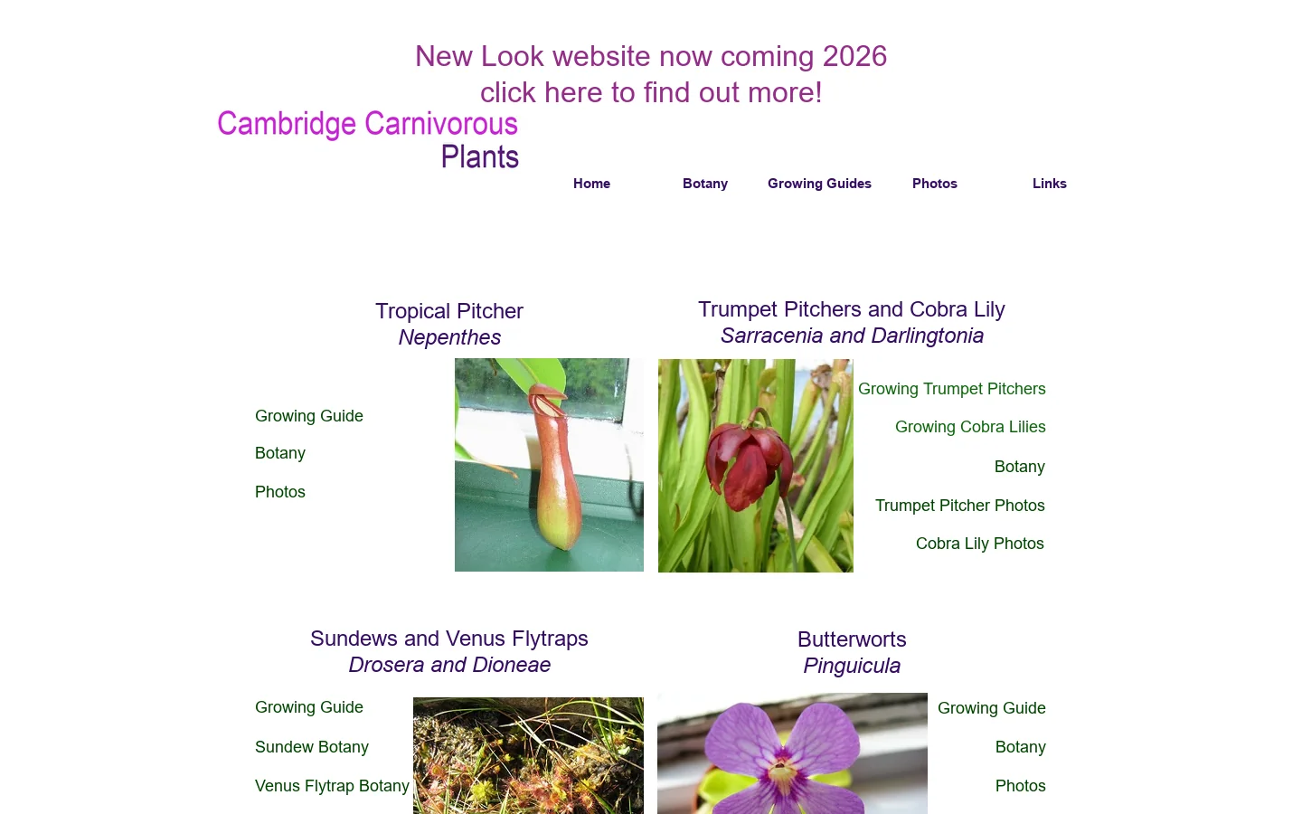 Cambridge Carnivorous Plants Homepage screenshot
