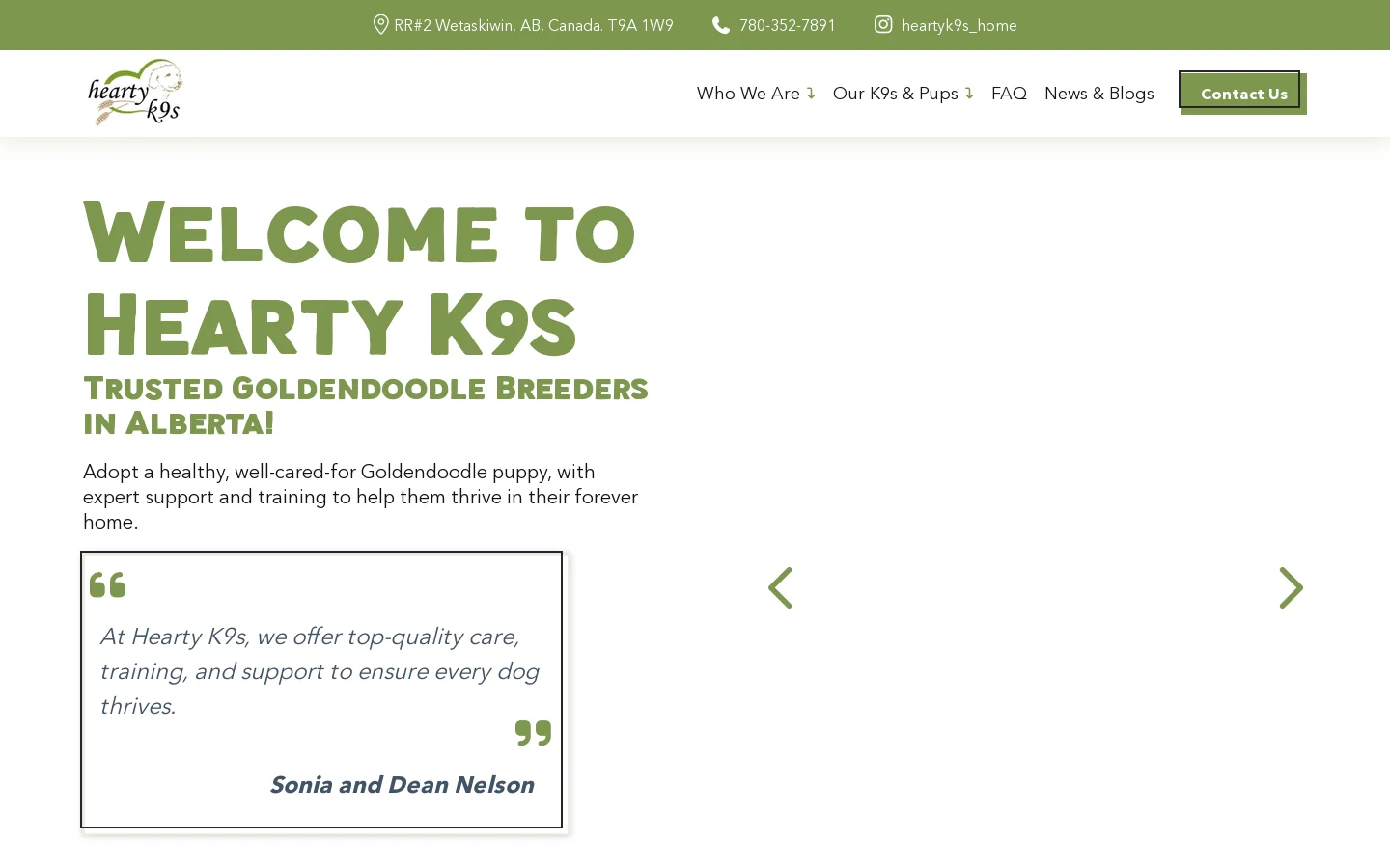 Dean's and Sonia's Hearty K9s - Quality Goldendoodles in Alberta Homepage screenshot