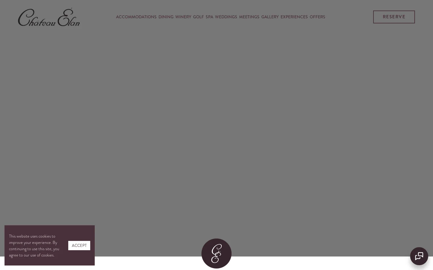 Chateau Elan Homepage screenshot