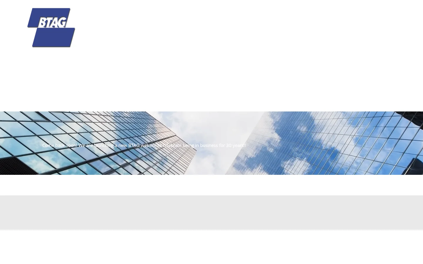 BTAG Consulting Homepage screenshot