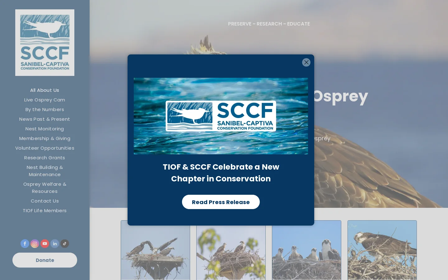 The International Osprey Foundation | Sanibel, FL | Non-Profit Homepage screenshot