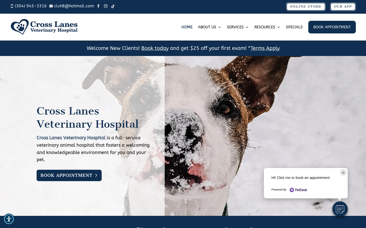 Site is offline Homepage screenshot