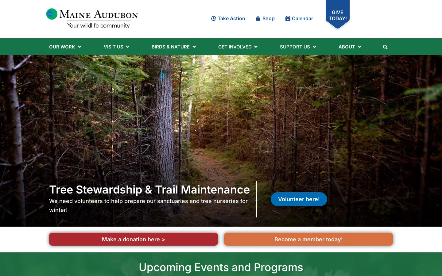 Maine Audubon Homepage screenshot