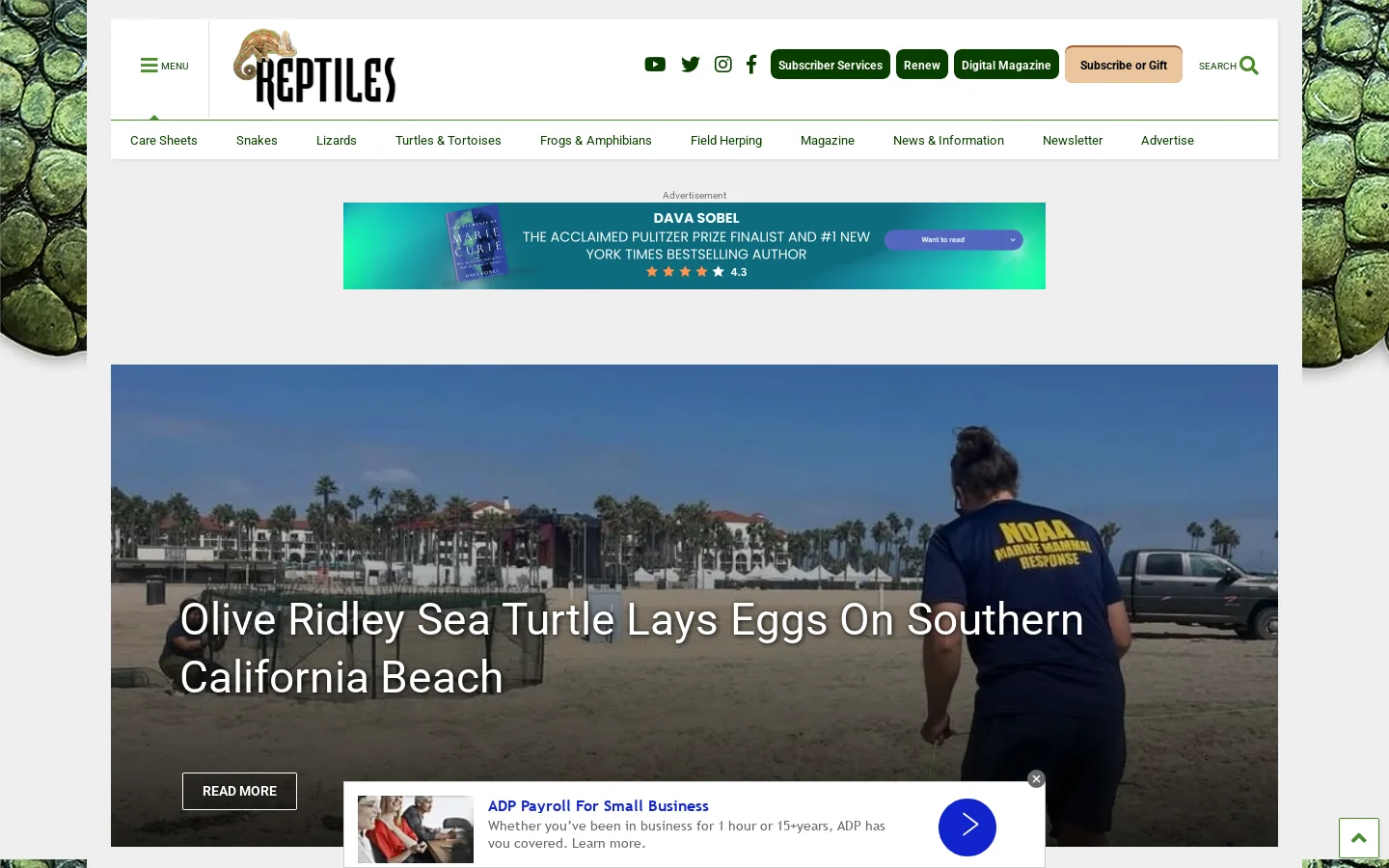 Reptiles Magazine Homepage screenshot