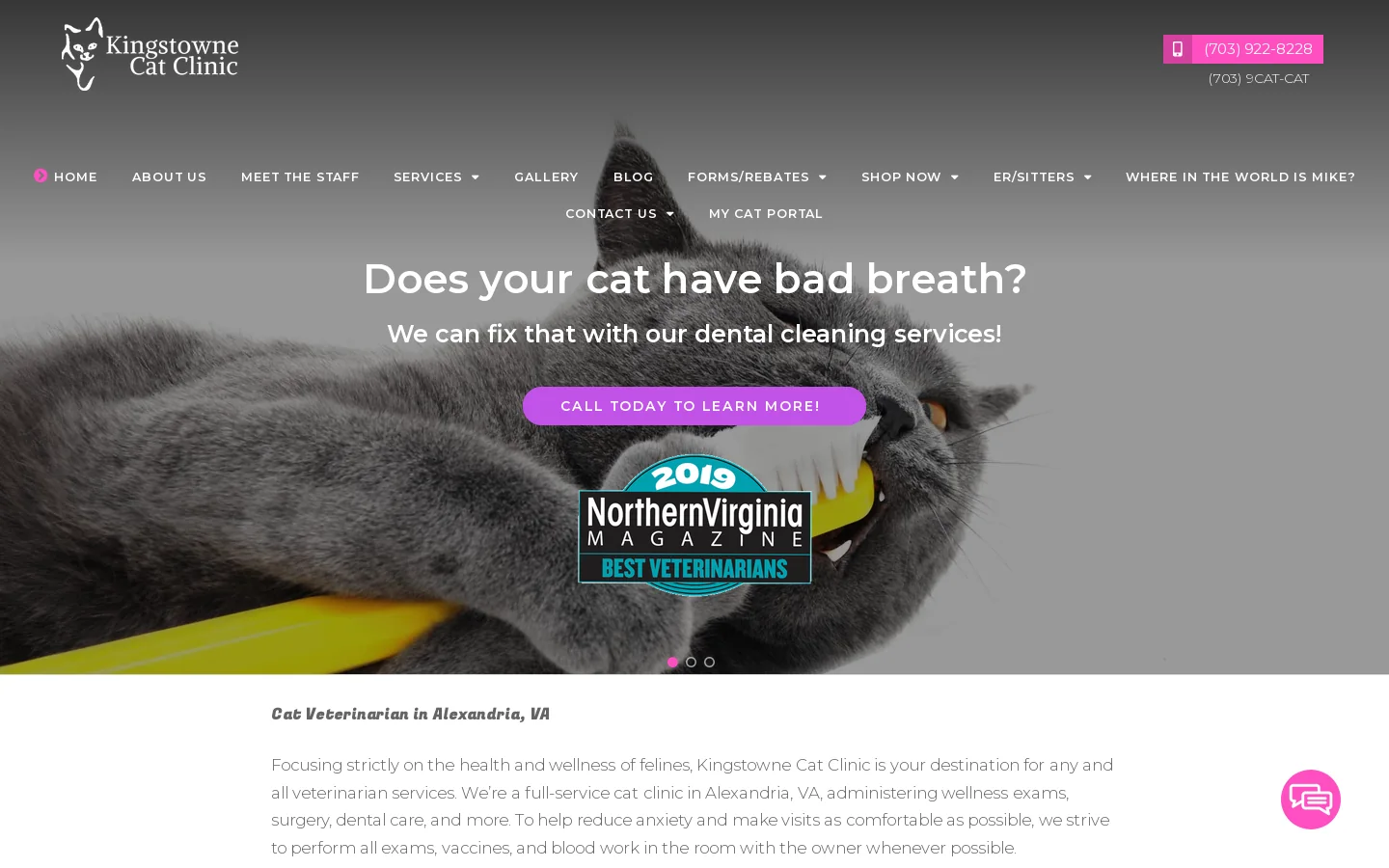 Kingstowne Cat Clinic Homepage screenshot