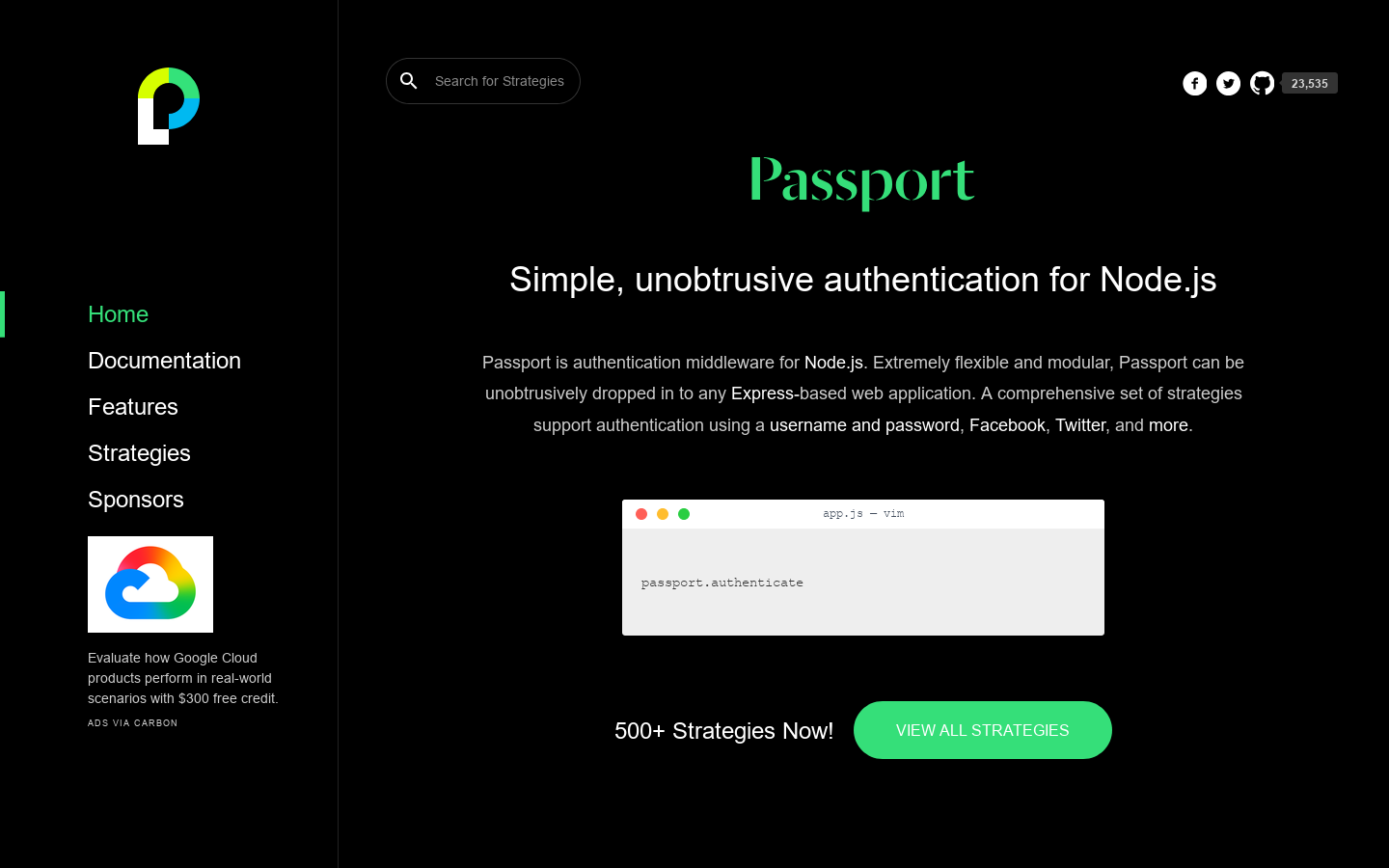 Passport.js Homepage screenshot