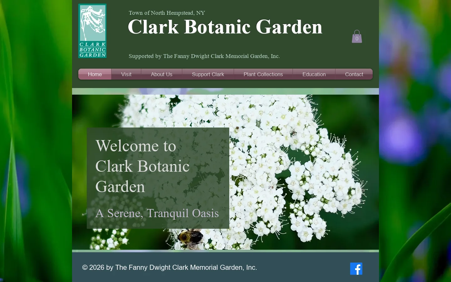 Home Homepage screenshot
