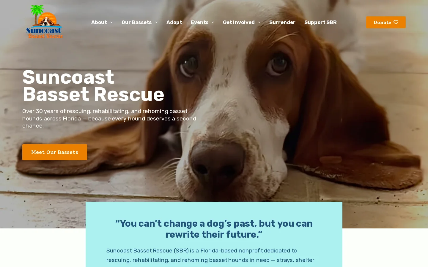 Suncoast Basset Rescue Homepage screenshot