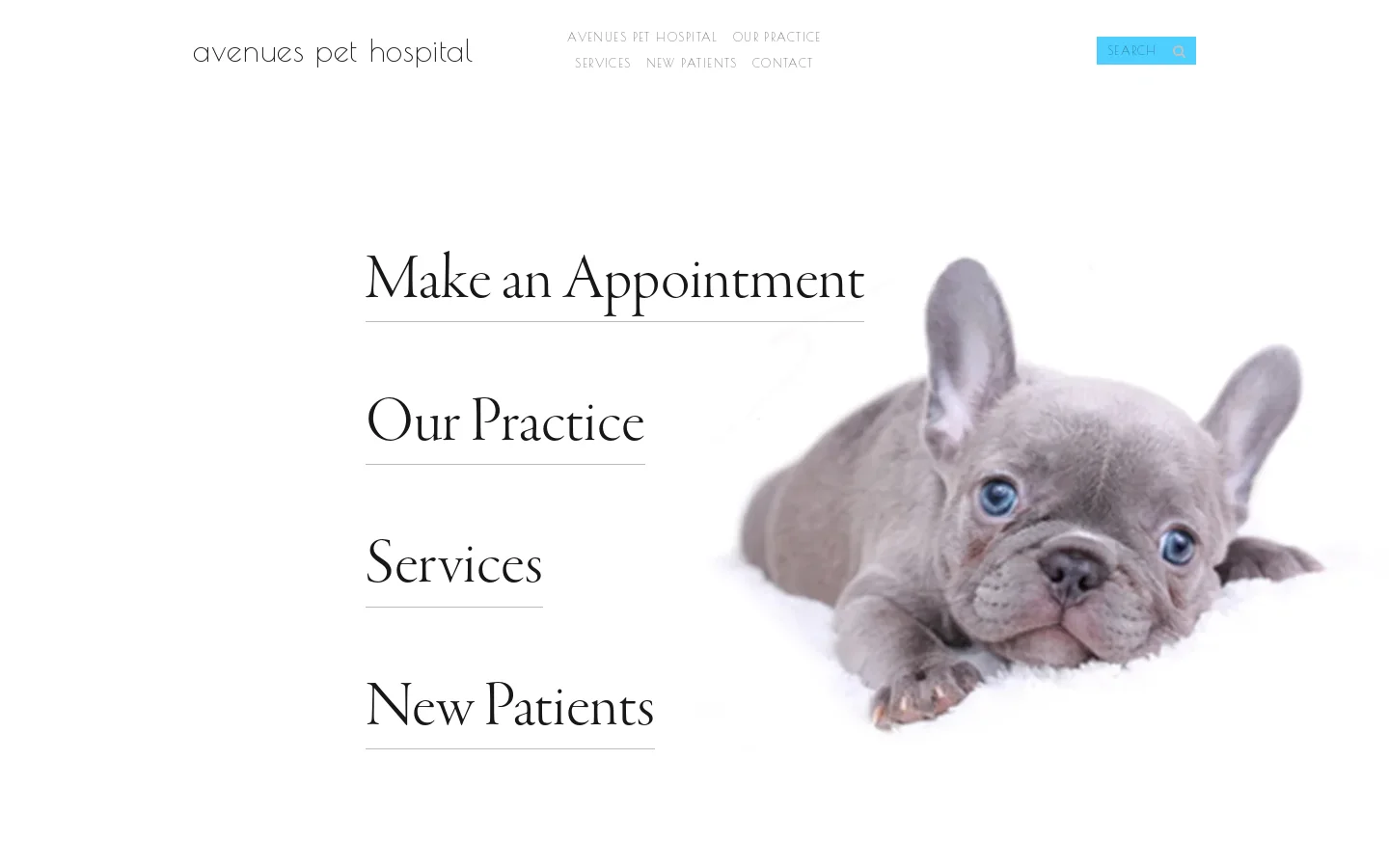 avenues pet hospital Homepage screenshot