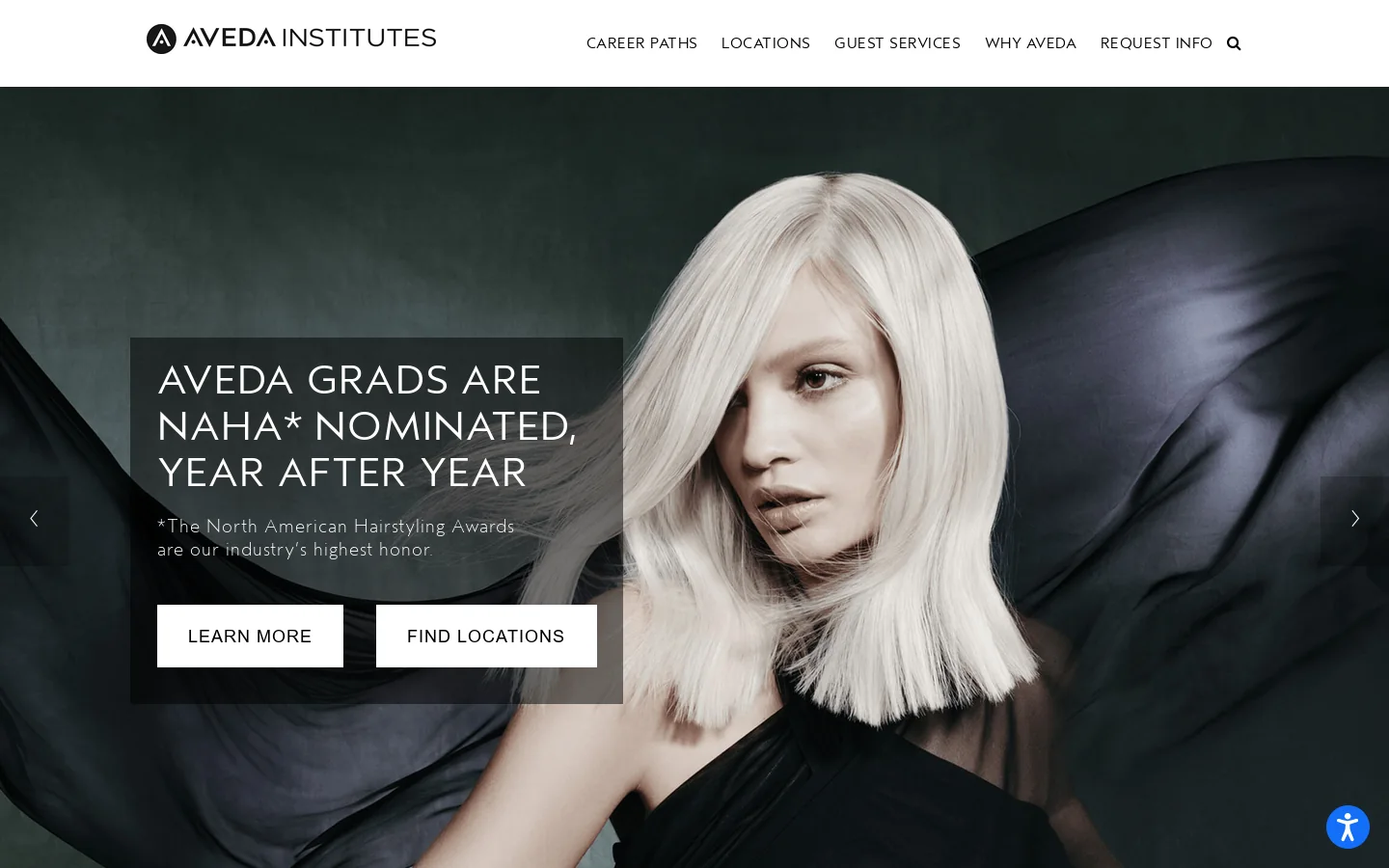 Aveda Institutes Homepage screenshot