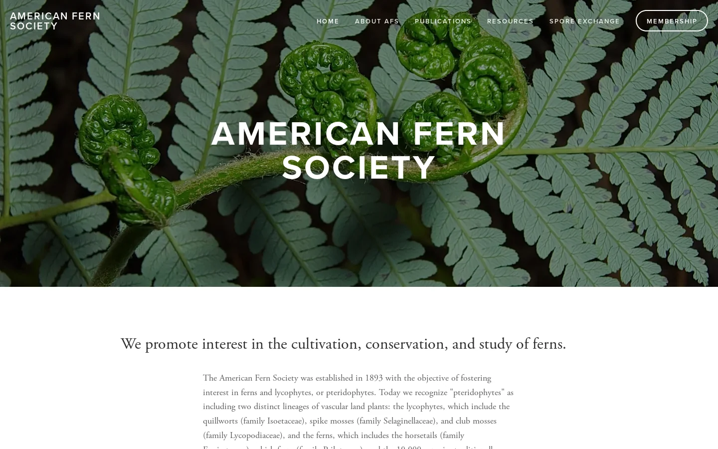 American Fern Society Homepage screenshot