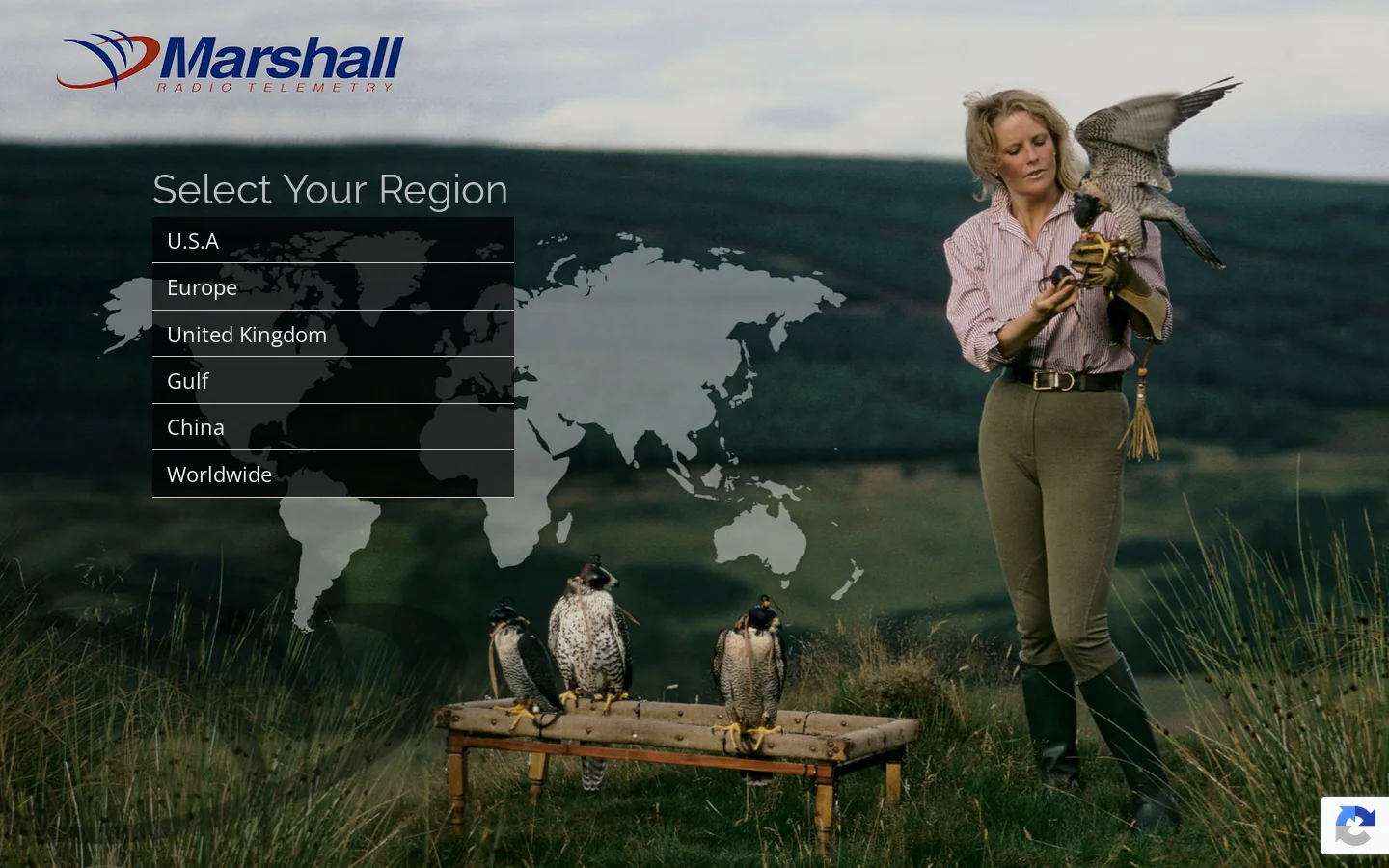 Marshall Radio Homepage screenshot