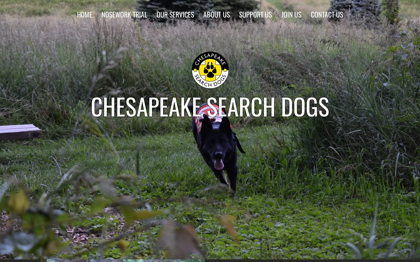 Chesapeake Search Dogs Homepage screenshot